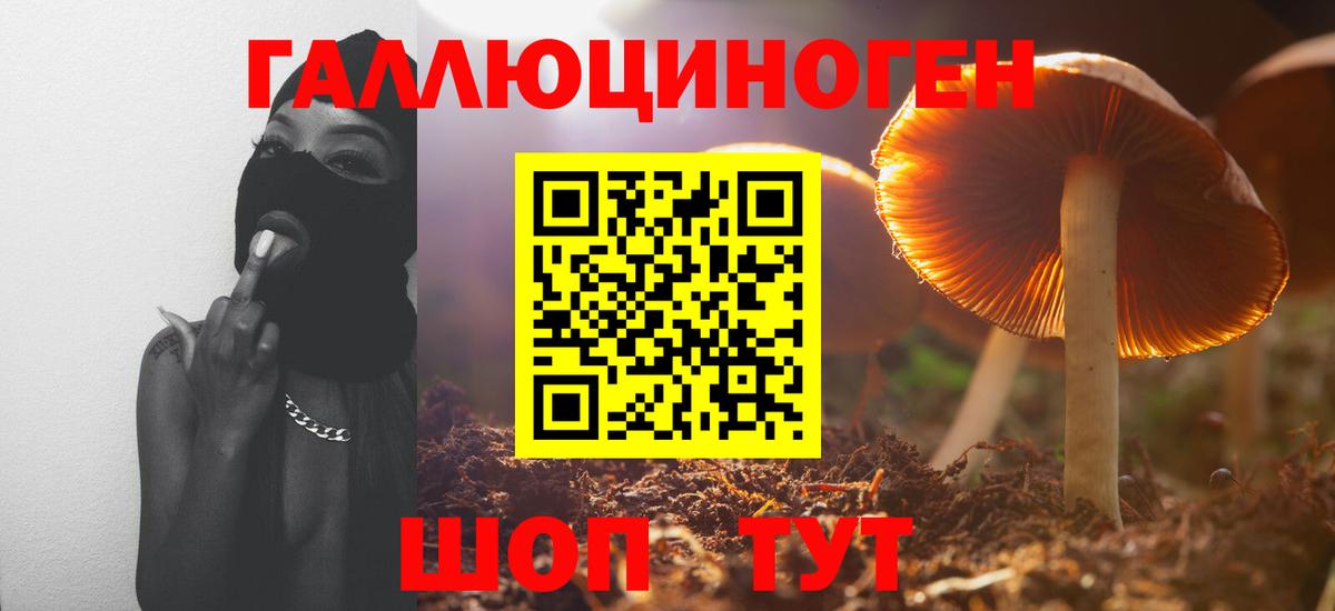 Псилоцибиновые грибы ЛСД  Вход с VPN  Карачаевск 
